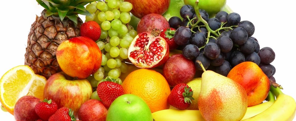 usaha buah dan bisnis buah